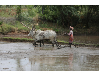  Villages of Rural India